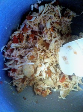 Shredded Chicken with Salsa for Chicken Enchiladas